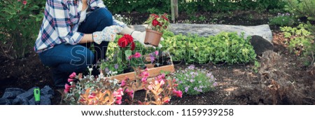 Unrecognizable female gardener holding beautiful flower ready to be planted in a garden. Gardening concept. Garden Landscaping small business banner.