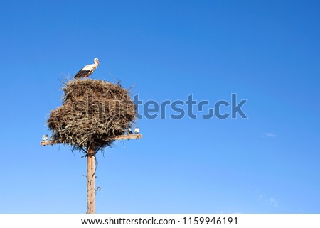 Stork sitting in a large nest on a pillar on blue sky background