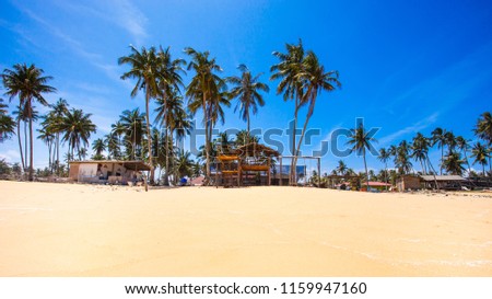 Beautiful seaside scenery with gazebo or hut and swing at tropical beach. Blue sky and palm or coconut trees as background. Nature Composition.
