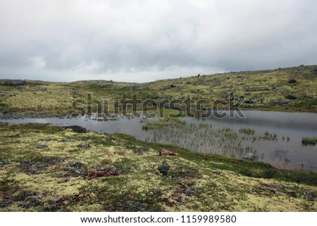 Scenic tundra and lakes landscape, Sredny Peninsula, Russia
