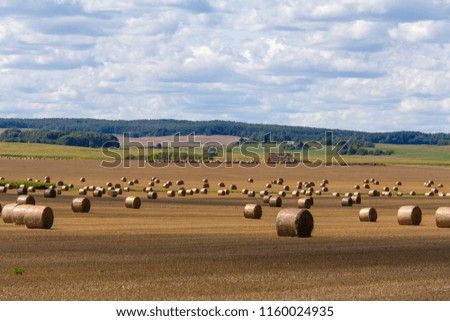 August on the Belarusian fields-cereals have already been remove