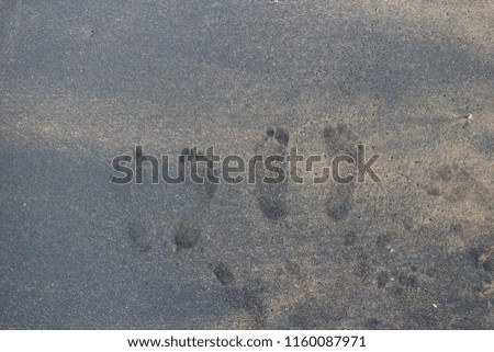 Steps of a couple on a beach sand