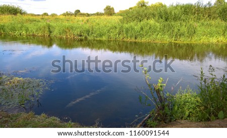 coast of the forest river, river smooth surface, beautiful day landscape