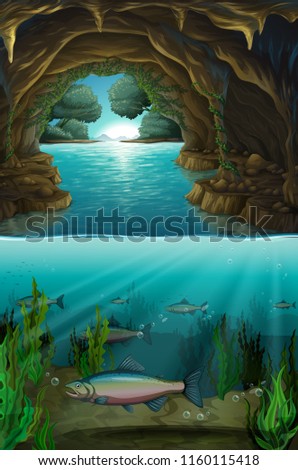 Inside the cabe underwater illustration