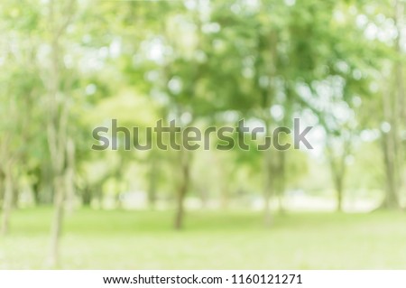 Blurred of green trees lawn light nature abstract, in park background and summer season