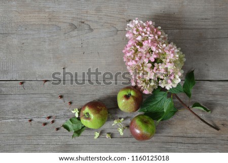 Hydrangea and apples on wooden background