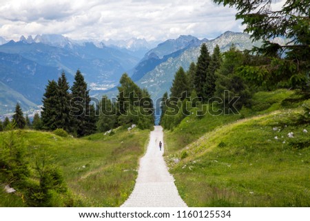 summer mountains with white road