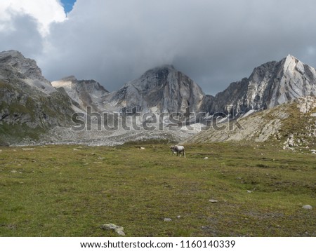 2018 august the 19th  Senales valley, trentino alto adige country trekking day on mountain