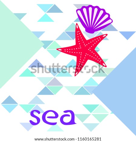 starfish shell sea vector background