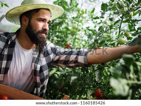 Friendly farmer at work in greenhouse