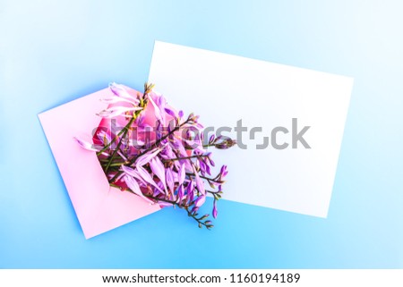 Pink pastel paper envelope with fresh bright garden flowers and empty paper sheets on light blue background. Festive floral template. Greeting card design for Mothers day, March 8th. Top view.