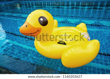 Inflatable yellow ducks in swimming pool.Concept for summer fun party.