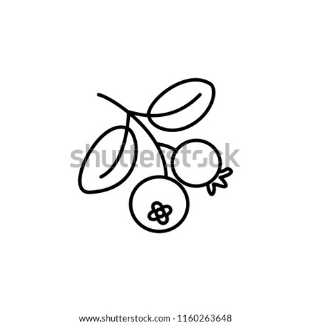 Black & white vector illustration of organic cranberry with leaves. Line icon of fresh berries. Vegan & vegetarian food. Health eating fruit ingredient. Isolated object on white background. 