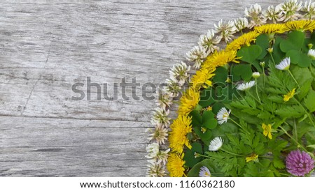 Dandelions. Yellow dandelions on a woody background. Postcard from dandelions
