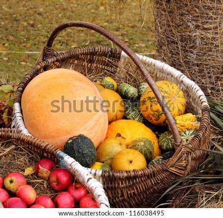Pumpkins stacked in a big basket