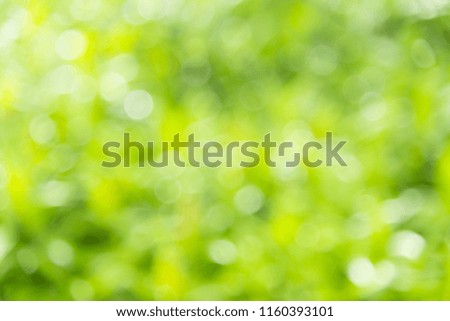 Abstract green nature blurred bokeh background.