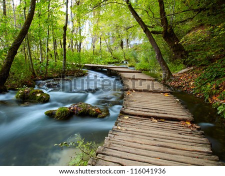 Boardwalk in the park Royalty-Free Stock Photo #116041936