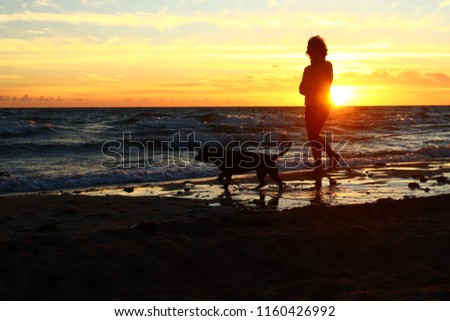silhouettes against the backdrop of the sea sunset