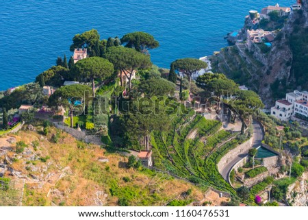 Vineyards among the hills along the Amalfi Coast, at Ravello, Italy. 