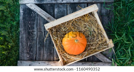 pumpkin in a box with straw, on a wooden background. copy space