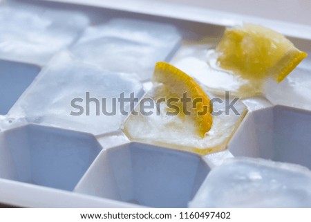 Slice of lemon frozen in a piece of ice