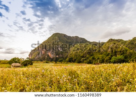 Vinales Valley, Pinar del Rio, Cuba. January 2018. A view of the countryside in Vinales Valley in Cuba.