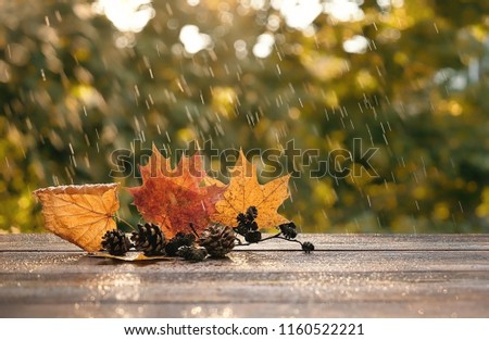 autumn leaves and cones on wooden table in garden, natural background. rainy weather. beautiful seasonal composition. fall time concept 