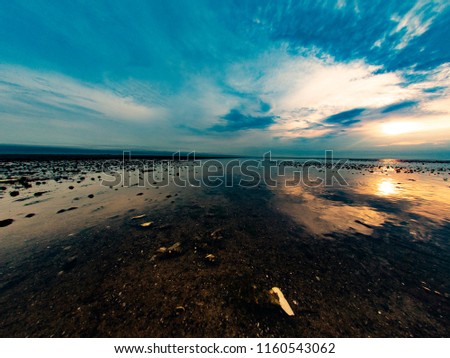 A beach at sunset in Cape Cod, MA with clouds, horizons, and hotels visible in the distance and seaweed mixing in with the water