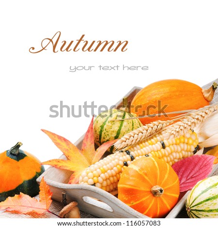 Autumn still-life with pumpkins and corn isolated over white