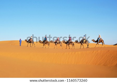 Camels caravan in Sahara desert. Sand dunes landscape in Sahara desert, Morocco
