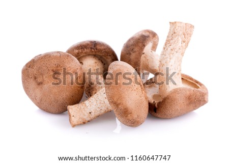Shiitake mushroom on the White background Royalty-Free Stock Photo #1160647747