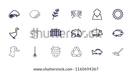 Nature icon. collection of 18 nature outline icons such as deel, bear, fish, hippopotamus, goose, chameleon, rake, fence, sun, tree. editable nature icons for web and mobile.