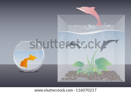 Dolphins and goldfish in a box and round fish tank vector illustration