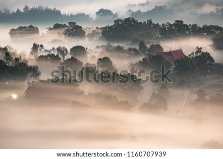 Morning mist mountain beautiful