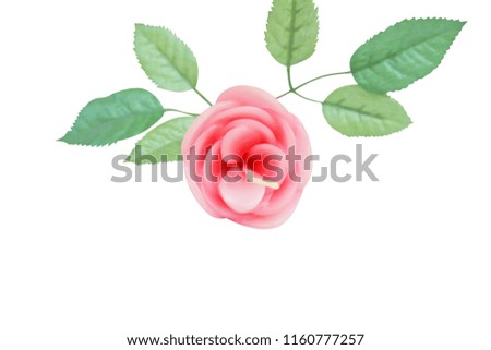 Pink rose with leaves isolated on white background ,Aroma candle