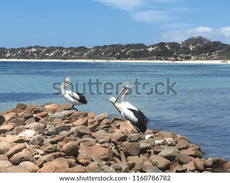 Emu Bay, Kangaroo Island, SA, Australia
