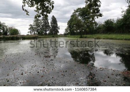 Photography of an abandoned pond in the French countryside