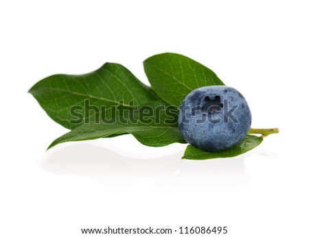 Fresh ripe blueberry with leaves on white background