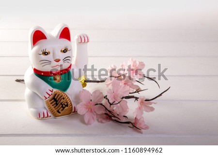 Lucky cat on white background