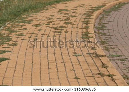 Outdoor view of a turning way. Part of a sidewalk made of orange and purple cobblestones. Curve with green grass on each side. Path without people in a french garden. Abstract urban picture. 
