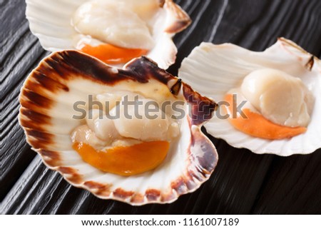 Seafood background with fresh scallops in white and brown shells. Seafood delicacies. horizontal format
 Royalty-Free Stock Photo #1161007189