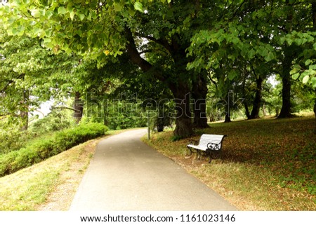 bench in a park under an oak tree. toila estonia, oru park               