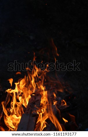 Yellow and orange fire burning wood