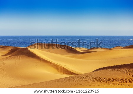Sand dunes of Maspalomas, Gran Canaria, Canary Islands, Spain Royalty-Free Stock Photo #1161223915