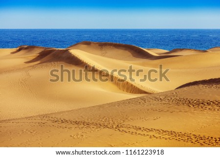 Sand dunes of Maspalomas, Gran Canaria, Canary Islands, Spain Royalty-Free Stock Photo #1161223918