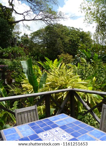 Beautiful balcony view inside the jungle
