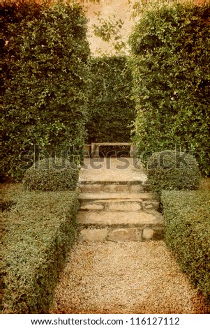 Old vintage photo of steps pathway in garden