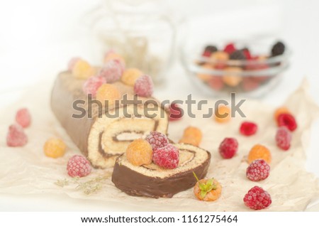 Chocolate roll cake with berries on white background. Toned image. 