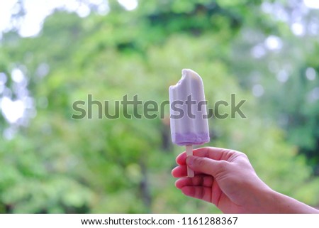 A male hand holding a taro ice cream on wooden stick with blurred green nature background at the park 