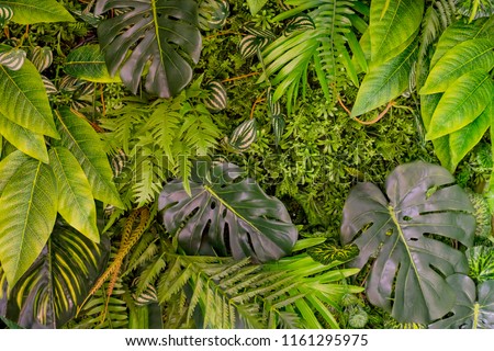 Tropical leaves pattern. Green leaf exotic plants seamless on a dark jungle background. Artistic photo collage for floral print. Natural leaves palm, banana, monstera template backdrop.